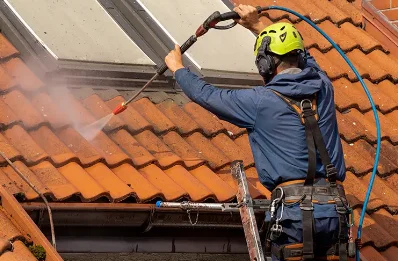 Démoussage et hydrofuge de toiture à Fâchin